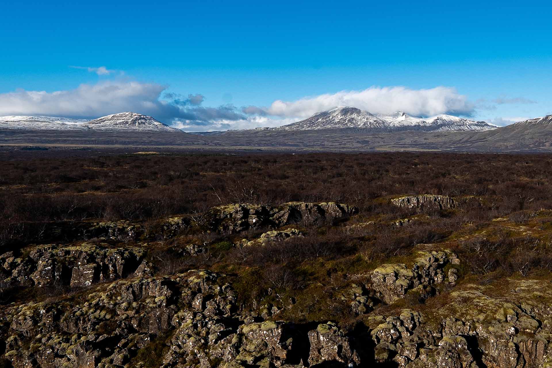 投資詐欺の手口と見分け方｜SNS型詐欺が急増、2024年は被害871億円